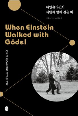 아인슈타인이 괴델과 함께 걸을 때 : 사고의 첨단을 찾아 떠나는 여행
