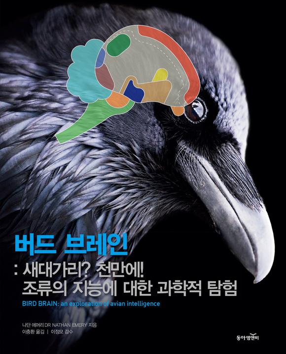 버드 브레인 : 새대가리? 천만에! 조류의 지능에 대한 과학적 탐험